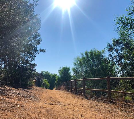 Del Ponienente trail