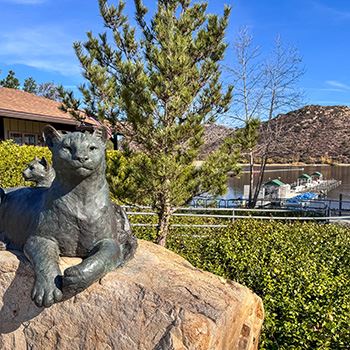 mountain lion statue at lake poway