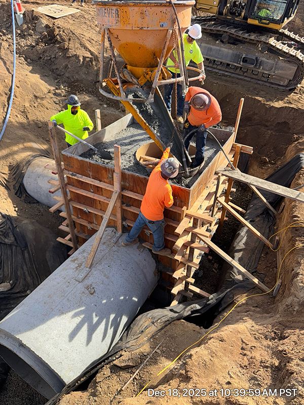 Biofiltration basin December 2025