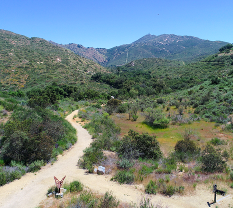 Summer hiking safety tips