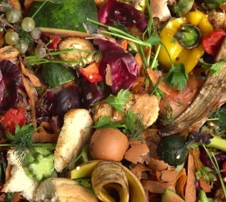 organic waste for recycling