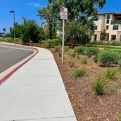 Pathway at Community Park
