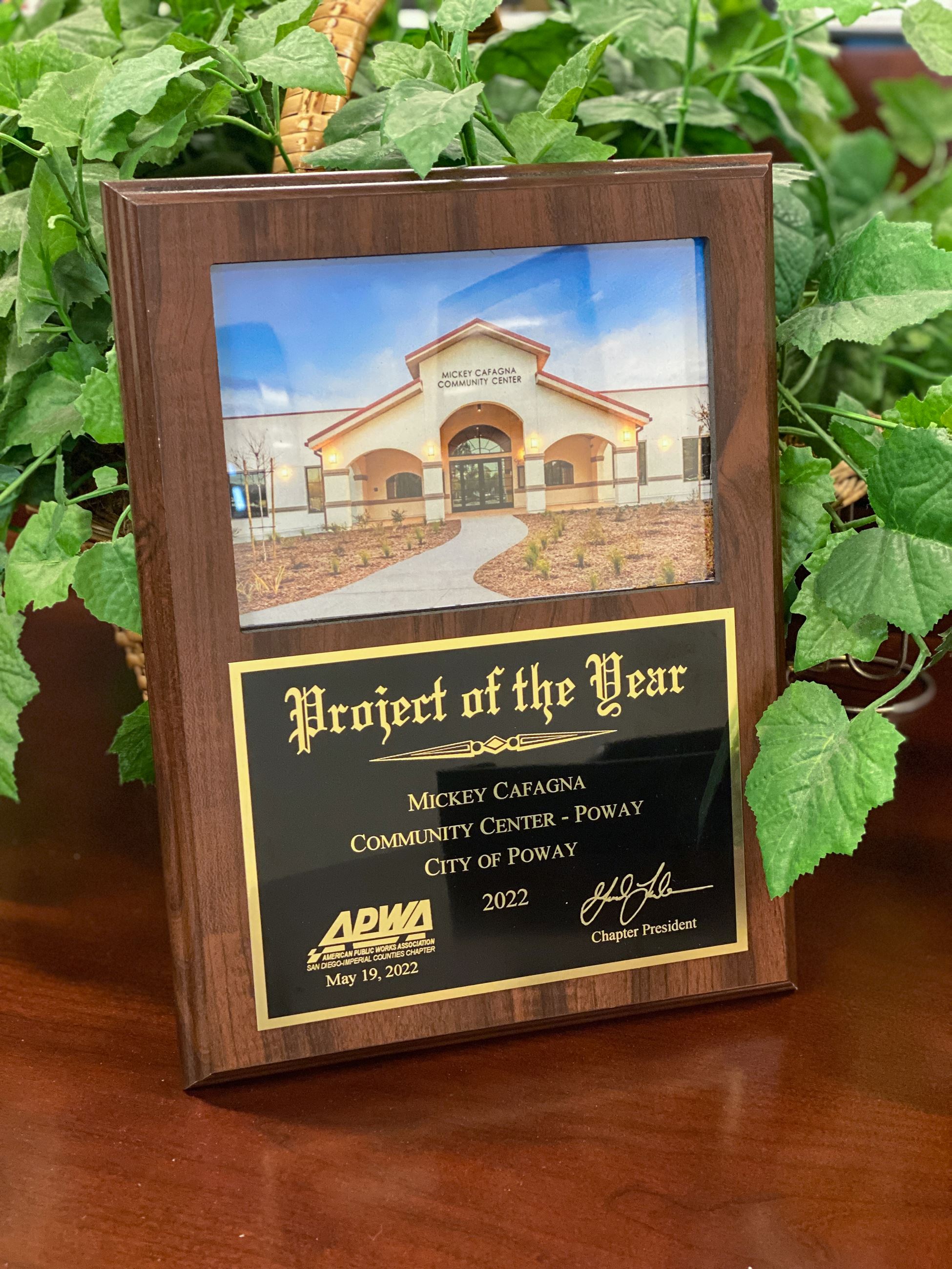 Mickey Cafagna Community Center award